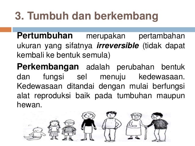 Ciri Ciri Makhluk Hidup