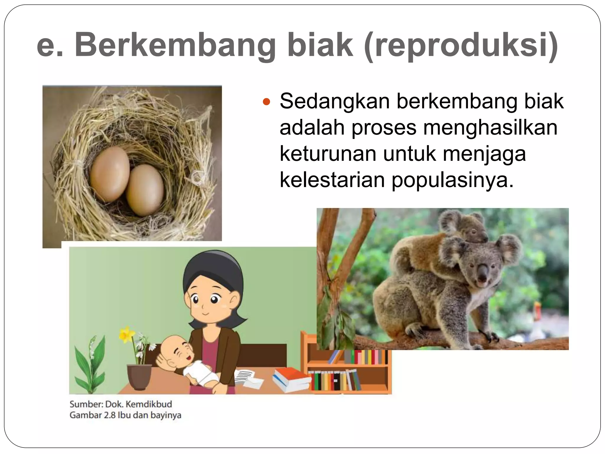 Ciri ciri makhluk hidup | PPTX