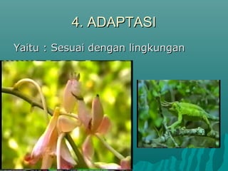 4. ADAPTASI4. ADAPTASI
Yaitu : Sesuai dengan lingkunganYaitu : Sesuai dengan lingkungan
 