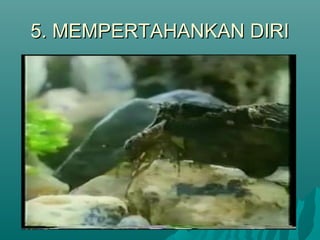 5. MEMPERTAHANKAN DIRI5. MEMPERTAHANKAN DIRI
 