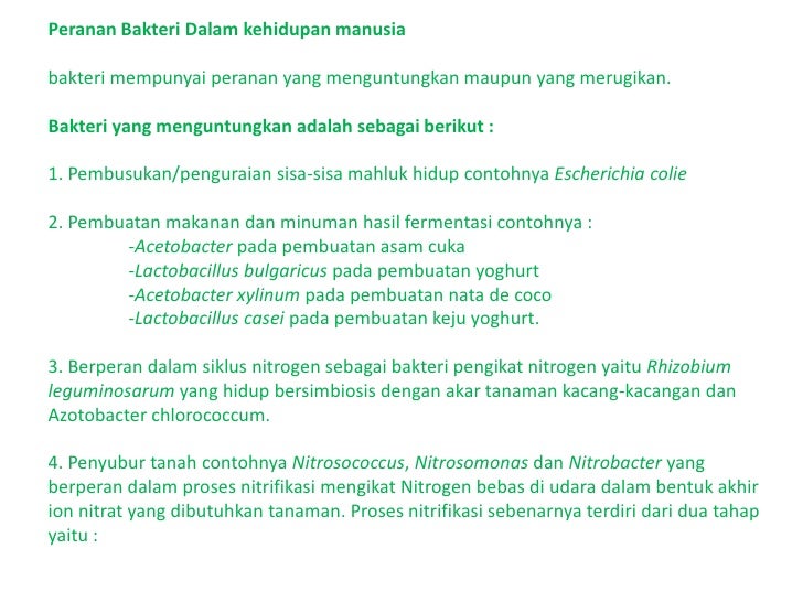 Ciri Ciri Perkembangbiakan Dan Manfaat Bakteri