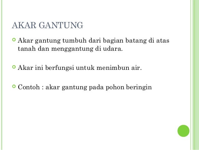 Ciri ciri tumbuhan Ciri ciri tumbuhan