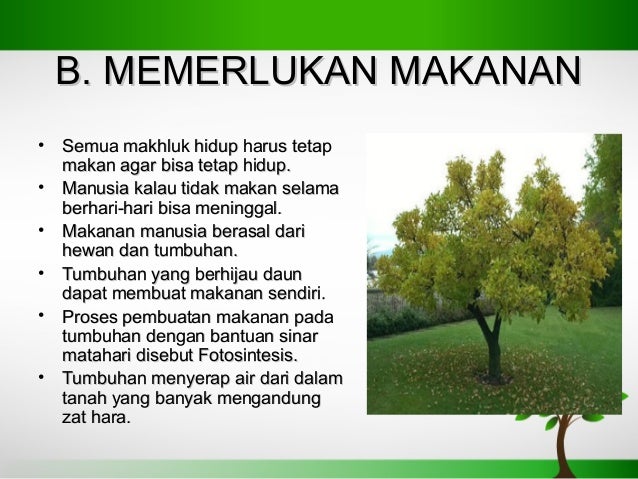 Ciri Ciri Makhluk Hidup Tumbuhan Memerlukan Air Ciri Ciri Makhluk Hidup Tumbuhan Memerlukan Air