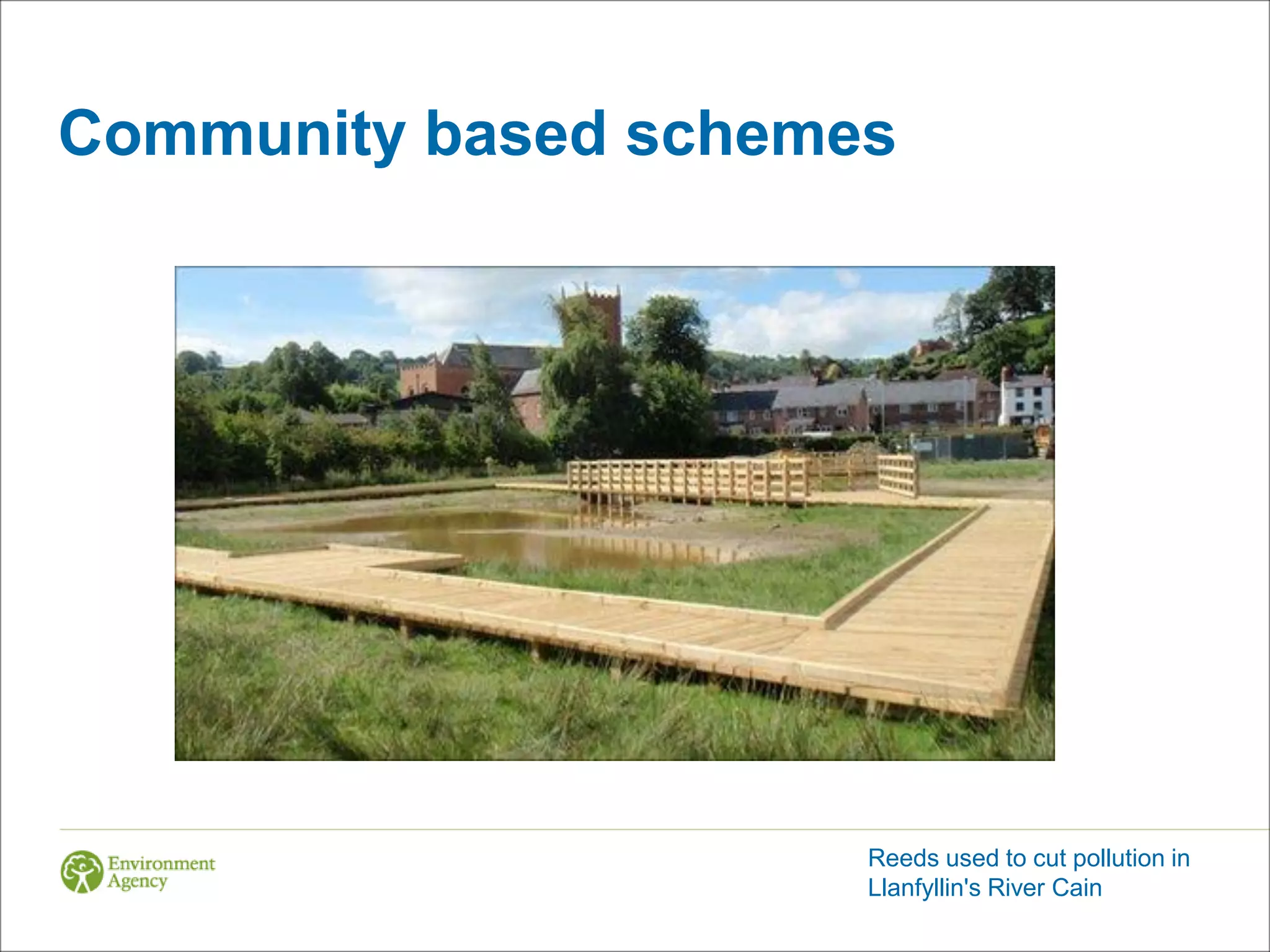 Community based schemes




                      Reeds used to cut pollution in
                      Llanfyllin's River Cain
 