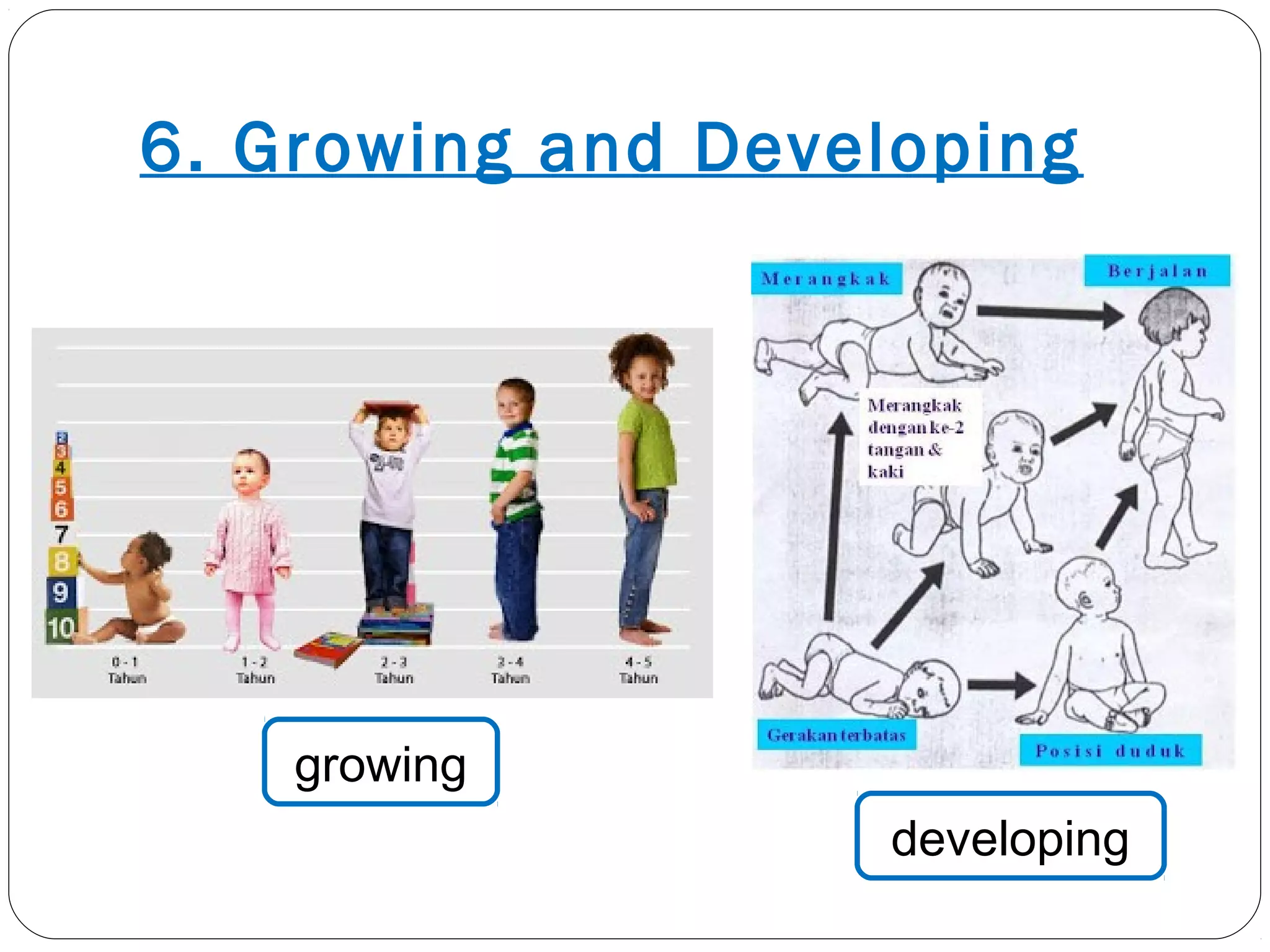 6. Growing and Developing
growing
developing
 