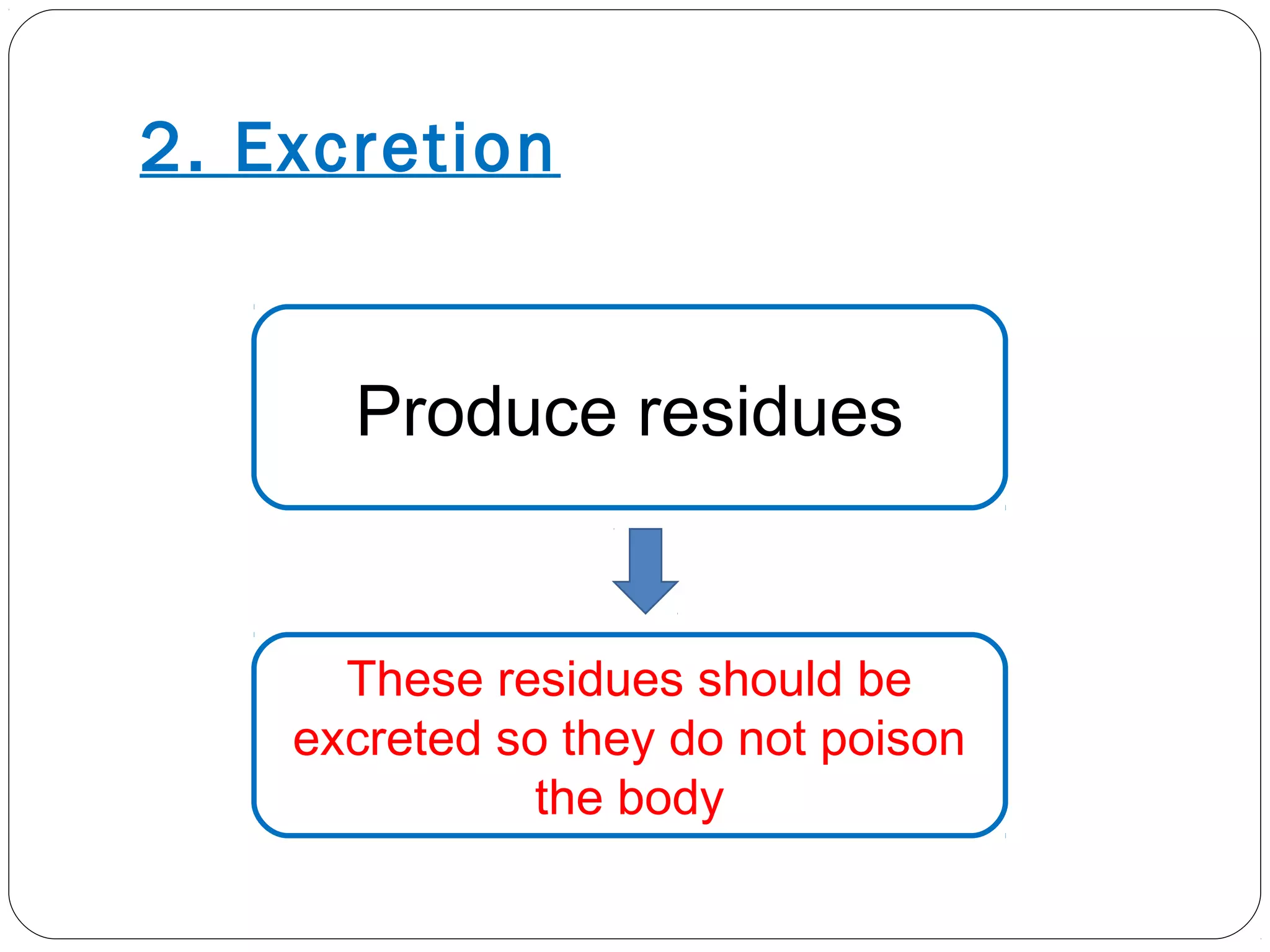 2. Excretion
Produce residues
These residues should be
excreted so they do not poison
the body
 
