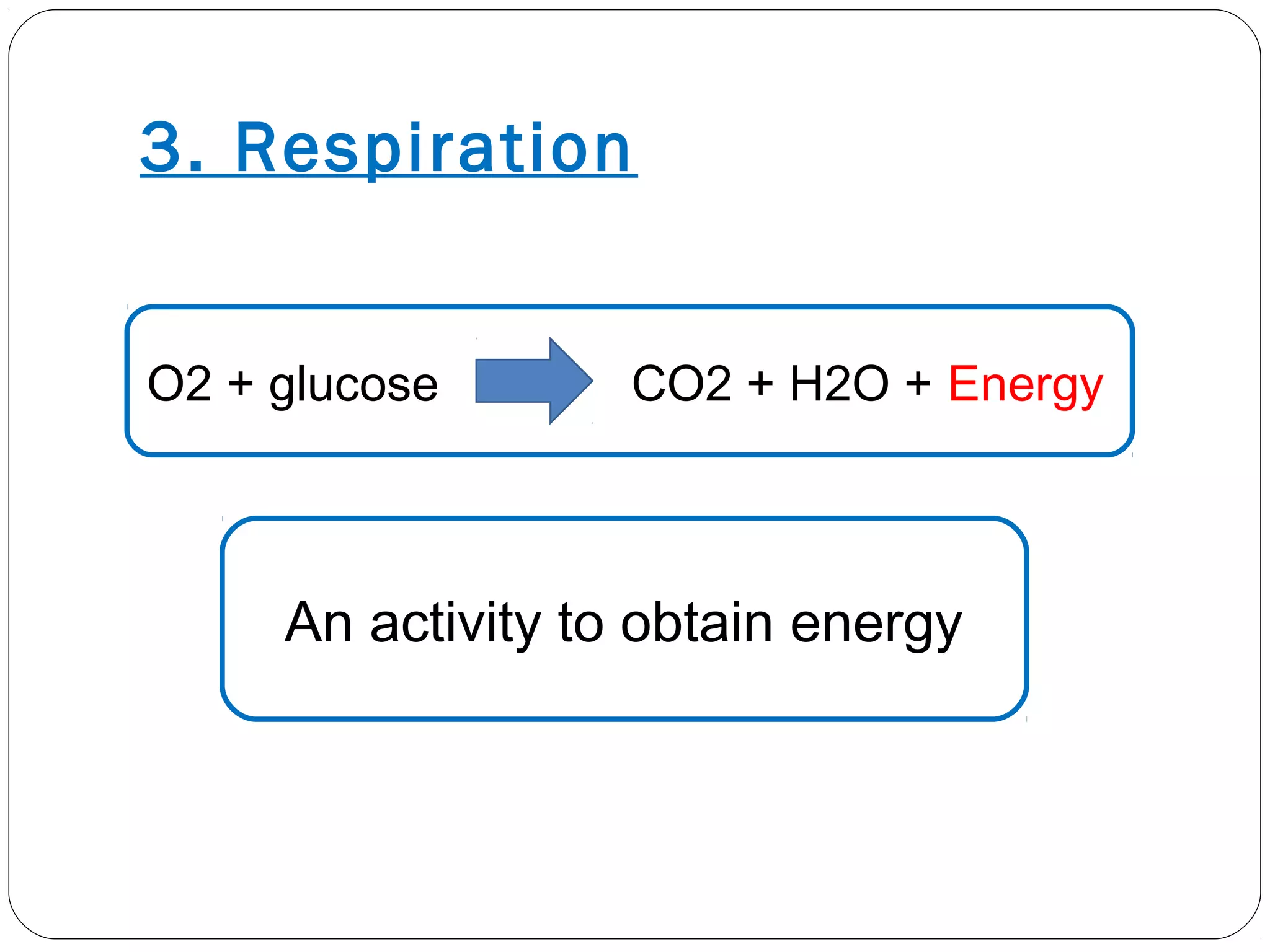 3. Respiration
O2 + glucose CO2 + H2O + Energy
An activity to obtain energy
 