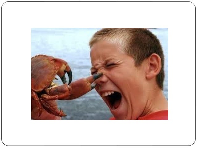 Grade 7 - Characteristic of Organism