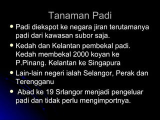 Tanaman Padi Padi diekspot ke negara jiran terutamanya padi dari kawasan subor saja.  Kedah dan Kelantan pembekal padi. Kedah membekal 2000 koyan ke P.Pinang. Kelantan ke Singapura Lain-lain negeri ialah Selangor, Perak dan Terengganu Abad ke 19 Srlangor menjadi pengeluar padi dan tidak perlu mengimportnya. 