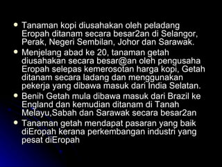 Tanaman kopi diusahakan oleh peladang Eropah ditanam secara besar2an di Selangor, Perak, Negeri Sembilan, Johor dan Sarawak. Menjelang abad ke 20, tanaman getah diusahakan secara besar@an oleh pengusaha Eropah selepas kemerosotan harga kopi, Getah ditanam secara ladang dan menggunakan pekerja yang dibawa masuk dari India Selatan. Benih Getah mula dibawa masuk dari Brazil ke England dan kemudian ditanam di Tanah Melayu,Sabah dan Sarawak secara besar2an Tanaman getah mendapat pasaran yang baik diEropah kerana perkembangan industri yang pesat diEropah 