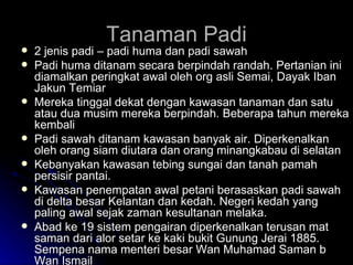 Tanaman Padi 2 jenis padi – padi huma dan padi sawah Padi huma ditanam secara berpindah randah. Pertanian ini diamalkan peringkat awal oleh org asli Semai, Dayak Iban Jakun Temiar Mereka tinggal dekat dengan kawasan tanaman dan satu atau dua musim mereka berpindah. Beberapa tahun mereka kembali Padi sawah ditanam kawasan banyak air. Diperkenalkan oleh orang siam diutara dan orang minangkabau di selatan Kebanyakan kawasan tebing sungai dan tanah pamah persisir pantai. Kawasan penempatan awal petani berasaskan padi sawah di delta besar Kelantan dan kedah. Negeri kedah yang paling awal sejak zaman kesultanan melaka. Abad ke 19 sistem pengairan diperkenalkan terusan mat saman dari alor setar ke kaki bukit Gunung Jerai 1885. Sempena nama menteri besar Wan Muhamad Saman b Wan Ismail 