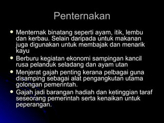 Penternakan Menternak binatang seperti ayam, itik, lembu dan kerbau. Selain daripada untuk makanan juga digunakan untuk membajak dan menarik kayu Berburu kegiatan ekonomi sampingan kancil rusa pelanduk seladang dan ayam utan Menjerat gajah penting kerana pelbagai guna disamping sebagai alat pengangkutan utama golongan pemerintah. Gajah jadi barangan hadiah dan ketinggian taraf seseorang pemerintah serta kenaikan untuk peperangan. 