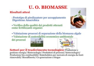 U. O. BIOMASSE
Risultati attesi

 • Prototipodi pirolizzatore per accoppiamento
  Digestione Anaerobica
 • Verifica della qualità dei prodotti ottenuti
 come fertilizzanti organici

 • Valutazione processi di separazione della biomassa algale
 • Valutazione di sostenibilità economico-ambientale
 dei processi


Settori per il trasferimento tecnologico: Produzione e
gestione energia/ Biotecnologie/ Produttori di processi/ biotecnologici/
Produzione bio-combustibili/ Stakeholders per mercato di energia da fonti
rinnovabili/ Bioraffinerie/ Co-generazione a biogas
 