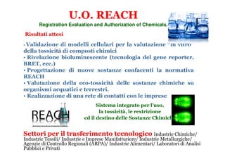 U.O. REACH
       Registration Evaluation and Authorization of Chemicals.
Risultati attesi

• Validazione  di modelli cellulari per la valutazione “in vitro”
della tossicità di composti chimici
• Rivelazione bioluminescente (tecnologia del gene reporter,
BRET, ecc.)
• Progettazione di nuove sostanze confacenti la normativa
REACH
• Valutazione della eco-tossicità delle sostanze chimiche su
organismi acquatici e terrestri.
• Realizzazione di una rete di contatti con le imprese
                                  Sistema integrato per l’uso,
                                   la tossicità, le restrizione
                            ed il destino delle Sostanze Chimiche


Settori per il trasferimento tecnologico Industrie Chimiche/
Industrie Tessili/ Industrie e Imprese Manifatturiere/ Industrie Metallurgiche/
Agenzie di Controllo Regionali (ARPA)/ Industrie Alimentari/ Laboratori di Analisi
Pubblici e Privati
 