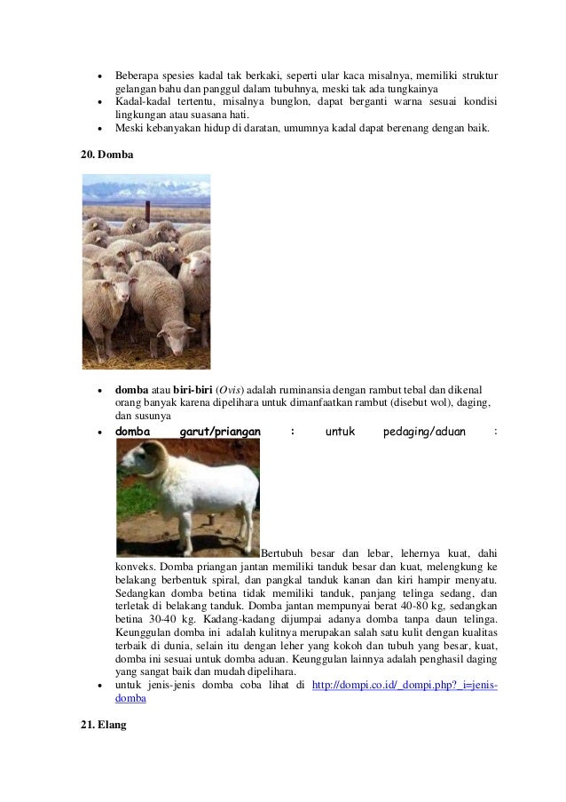 Ciri khusus beberapa hewan dan tumbuhan