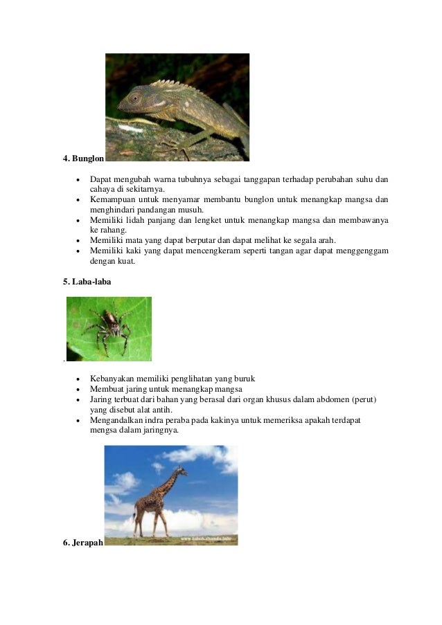 Ciri khusus beberapa hewan dan tumbuhan