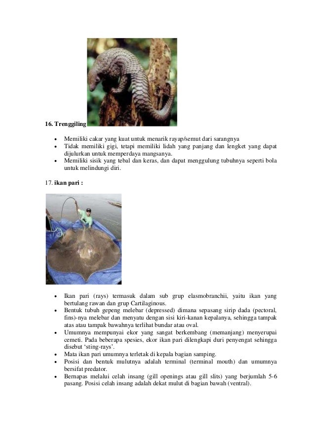 Ciri khusus beberapa hewan dan tumbuhan