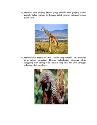 13.Memiliki leher panjang. Hewan yang memiliki leher panjang adalah
jerapah. Leher panjang ini berguna untuk mencari makanan berupa
pucuk daun.
14.Memiliki sisik tebal dan keras. Hewan yang memiliki sisik tebal dan
keras adalah trenggiling. Dengan melingkarkan tubuhnya tubuh
trenggiling akan tertutup oleh sisiknya yang tebal dan keras sehingga
terlindung dari musuhnya.
 