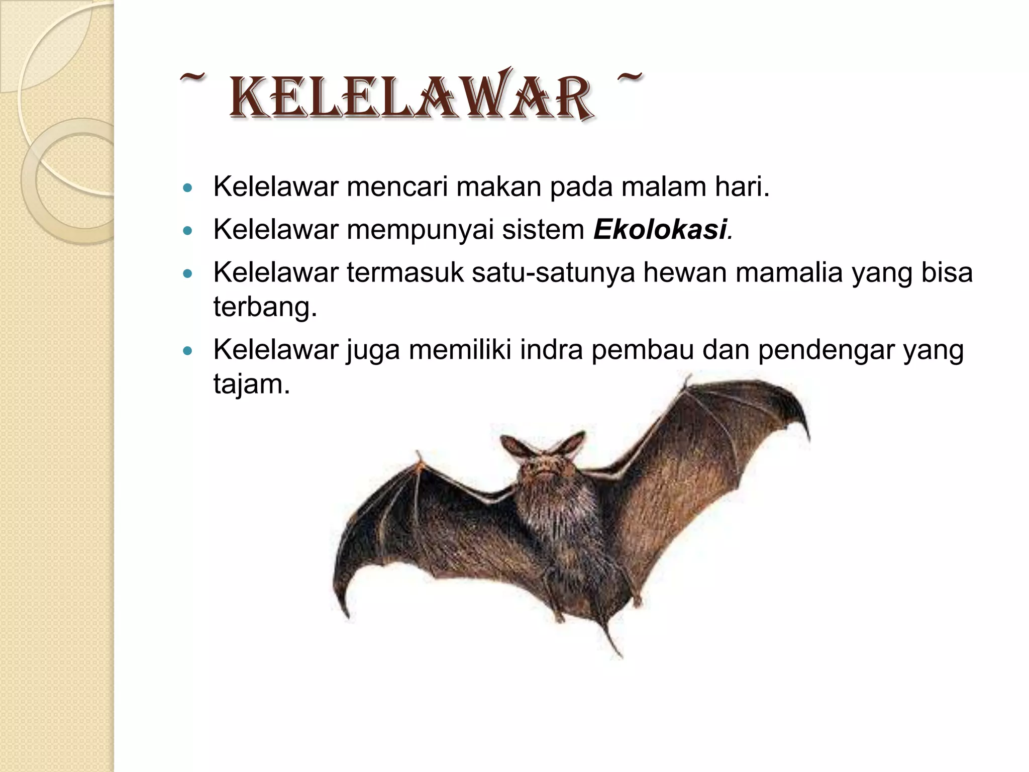 Ciri khusus makhluk hidup PPTX