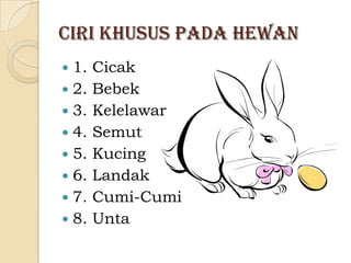 Ciri Khusus Pada Hewan
 1.   Cicak
 2.   Bebek
 3.   Kelelawar
 4.   Semut
 5.   Kucing
 6.   Landak
 7.   Cumi-Cumi
 8.   Unta
 