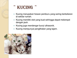 ~ Kucing ~
   Kucing merupakan hewan pemburu yang sering berkeliaran
    di sekitar rumah.
   Kucing memiliki otot yang kuat sehingga dapat melompat
    dengan jauh.
   Kucing juga mendengar bunyi ultrasonik.
   Kucing mempunyai penglihatan yang tajam.
 