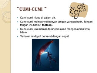 ~Cumi-Cumi ~
   Cumi-cumi hidup di dalam air.
   Cumi-cumi mempunyai banyak tangan yang pendek. Tangan-
    tangan ini disebut tentakel.
   Cumi-cumi jika merasa terancam akan mengeluarkan tinta
    hitam.
   Tentakel ini dapat berkerut dengan cepat.
 