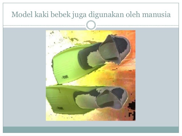 Ciri Khusus Makhluk Hidup Ciri Khusus Makhluk Hidup