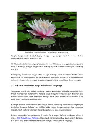 Ciri Khusus Tumbuhan Dan Fungsinya
