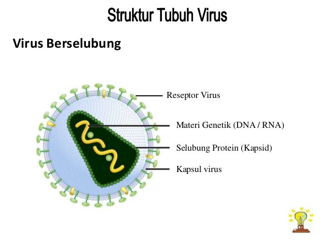 Ciri dan struktur virus