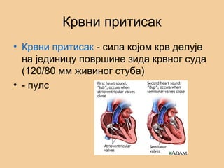 Крвни притисак
• Крвни притисак - сила којом крв делује
на јединицу површине зида крвног суда
(120/80 мм живиног стуба)
• - пулс
 