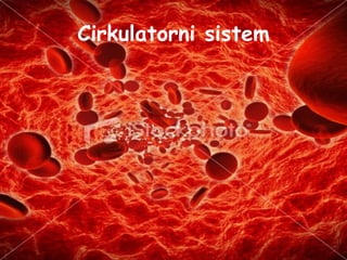 Cirkulatorni sistem 