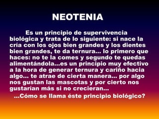 NEOTENIA
Es un principio de supervivencia
biológica y trata de lo siguiente: si nace la
cría con los ojos bien grandes y los dientes
bien grandes, te da ternura… lo primero que
haces: no te la comes y segundo te quedas
alimentándola…es un principio muy efectivo
a la hora de generar ternura y cariño hacia
algo… te atrae de cierta manera… por algo
nos gustan las mascotas y por cierto nos
gustarían más si no crecieran…
…Cómo se llama éste principio biológico?
 