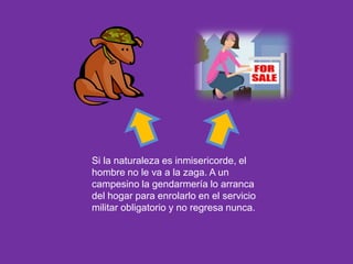 Si la naturaleza es inmisericorde, el hombre no le va a la zaga. A un campesino la gendarmería lo arranca del hogar para enrolarlo en el servicio militar obligatorio y no regresa nunca.