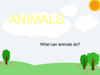 What can animals do?
ANIMALS
 