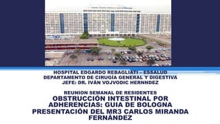 HOSPITAL EDGARDO REBAGLIATI – ESSALUD
DEPARTAMENTO DE CIRUGÍA GENERAL Y DIGESTIVA
JEFE: DR. IVÁN VOJVODIC HERNNDEZ
REUNION SEMANAL DE RESIDENTES

OBSTRUCCIÓN INTESTINAL POR
ADHERENCIAS: GUIA DE BOLOGNA
PRESENTACIÓN DEL MR3 CARLOS MIRANDA
FERNÁNDEZ

 
