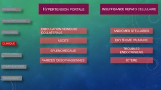 HYPERTENSION PORTALE INSUFFISANCE HEPATO CELLULAIRE
CIRCULATION VEINEUSE
COLLATERALE
ASCITE
SPLENOMEGALIE
VARICES OESOPHAGIENNES
ANGIOMES STELLAIRES
ERYTHEME PALMAIRE
TROUBLES
ENDOCRINIENS
ICTERE
DEFINITION
PHYSIOPATHOLOGIE
ETIOLOGIES
CLINIQUE
PARACLINIQU
E
COMPLICATIONS
TRAITEMENT
 