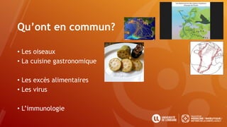 Qu’ont en commun?
• Les oiseaux
• La cuisine gastronomique
• Les excès alimentaires
• Les virus
• L’immunologie
 