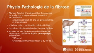 Physio-Pathologie de la fibrose
• Fibrose: Résultat d’un déséquilibre du processus
de production et dégradation de la matrice
extracellulaire.
• collagènes (types I, III, and V), glycoprotéines,
et protéoglycans
• « Stellate cells », ou Ito cells, cellules étoilées
• ou cellules périsinusoïdales dans l’espace de Disse
• activées par des facteurs paracrines libérés par
hépatocytes, cellules de Kupffer (macrophages) ,
endothélium
• TGF-beta1
• Cytokines proinflammatoires (Il-6, 8, 10, 12..)
 