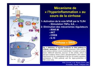 Mécanisme de
« l’hyperinflammation » au
cours de la cirrhose
1- Activation de la voie NFkB par le TLR4
- Stimulation TNFa, IL6, …
2- Diminution des mécanismes régulateurs
- IRAK-M
- AKT
- CREB
- IL10
Cirrhose SRIS
Weil, Cervoni, et al. Hepato-Gastro 2011
Fernandez, Gustot, J Hepatol 2012
 