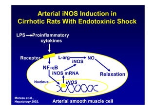 Arterial smooth muscle cell
L-arg NO
iNOS mRNA
iNOSNucleus
Receptor
Proinflammatory
cytokines
iNOS
Relaxation
Arterial iNOS Induction in
Cirrhotic Rats With Endotoxinic Shock
NF- B
Moreau et al.,
Hepatology 2002.
LPS
 