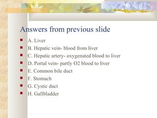 Answers from previous slide
 A. Liver
 B. Hepatic vein- blood from liver
 C. Hepatic artery- oxygenated blood to liver
 D. Portal vein- partly O2 blood to liver
 E. Common bile duct
 F. Stomach
 G. Cystic duct
 H. Gallbladder
 