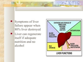  Symptoms of liver
failure appear when
80% liver destroyed
 Liver can regenerate
itself if adequate
nutrition and no
alcohol
 