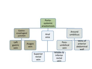 Portosystemic
anastomosis
Gastroesophageal
junction

Left
gastric
vein

Around
umbilicus

Anal
area
Paraumbilical
vein

Azygos
vein
Superior
rectal
vein

Middle &
inferior
rectal
vein

Veins of
anterior
abdominal
wall

 