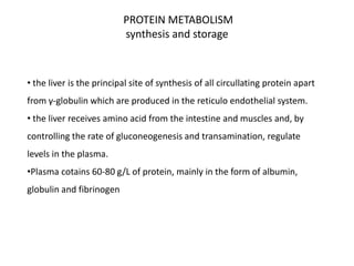 PROTEIN METABOLISM
synthesis and storage

• the liver is the principal site of synthesis of all circullating protein apart
from γ-globulin which are produced in the reticulo endothelial system.
• the liver receives amino acid from the intestine and muscles and, by
controlling the rate of gluconeogenesis and transamination, regulate

levels in the plasma.
•Plasma cotains 60-80 g/L of protein, mainly in the form of albumin,
globulin and fibrinogen

 