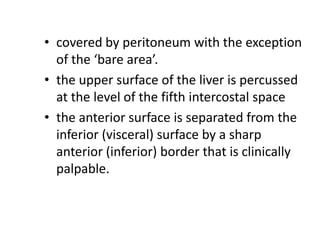 • covered by peritoneum with the exception
of the ‘bare area’.
• the upper surface of the liver is percussed
at the level of the fifth intercostal space
• the anterior surface is separated from the
inferior (visceral) surface by a sharp
anterior (inferior) border that is clinically
palpable.

 