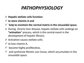 PATHOPHYSIOLOGY
 Hepatic stellate cells function:
 to store vitamin A and
 help to maintain the normal matrix in the sinusoidal space.
 During chronic liver disease, hepatic stellate cells undergo an
“activation” process, which is the central event in the
development of hepatic fibrosis.
 Activation causes stellate cells:
 to lose vitamin A,
 become highly proliferative,
 and synthesize fibrotic scar tissue, which accumulates in the
sinusoidal space.
 