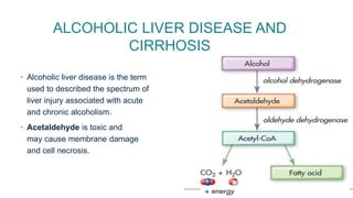 ALCOHOLIC LIVER DISEASE AND
CIRRHOSIS
• Alcoholic liver disease is the term
used to described the spectrum of
liver injury associated with acute
and chronic alcoholism.
• Acetaldehyde is toxic and
may cause membrane damage
and cell necrosis.
 