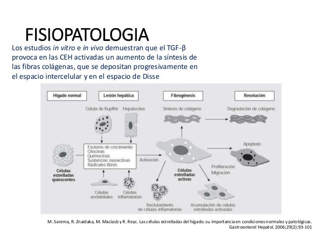 Gastrointestinal angiodysplasia in chronic renal failure