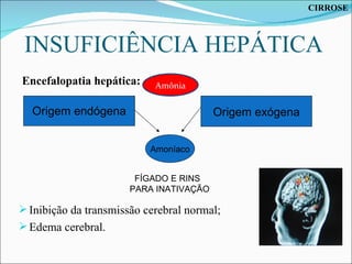 INSUFICIÊNCIA HEPÁTICA Origem endógena Origem exógena Amoníaco FÍGADO E RINS PARA INATIVAÇÃO Inibição da transmissão cerebral normal; Edema cerebral. Amônia Amônia Encefalopatia hepática: CIRROSE 