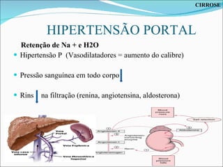 HIPERTENSÃO PORTAL Retenção de Na + e H2O Hipertensão P  (Vasodilatadores = aumento do calibre) Pressão sanguínea em todo corpo  Rins  na filtração (renina, angiotensina, aldosterona) CIRROSE 